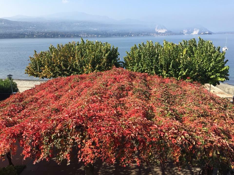 Albergo Riva Reno Di Leggiuno エクステリア 写真